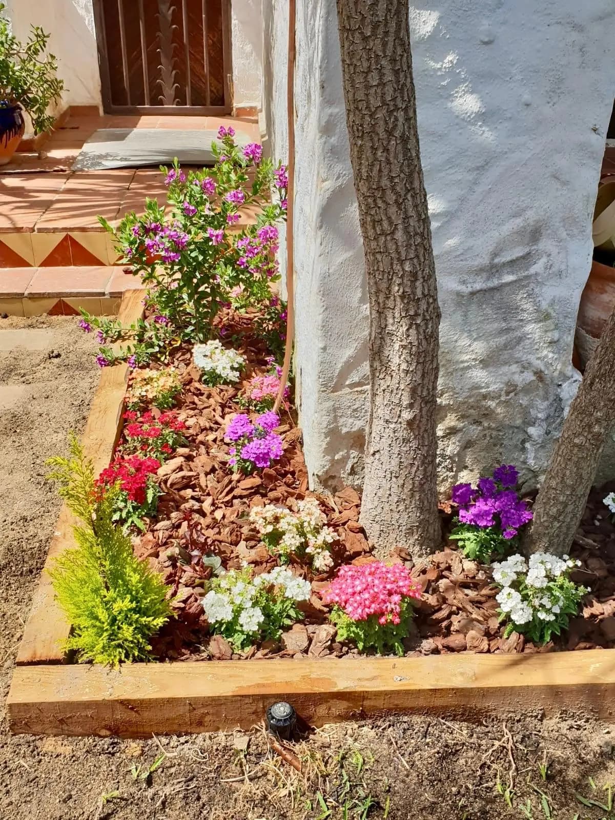 Plantación