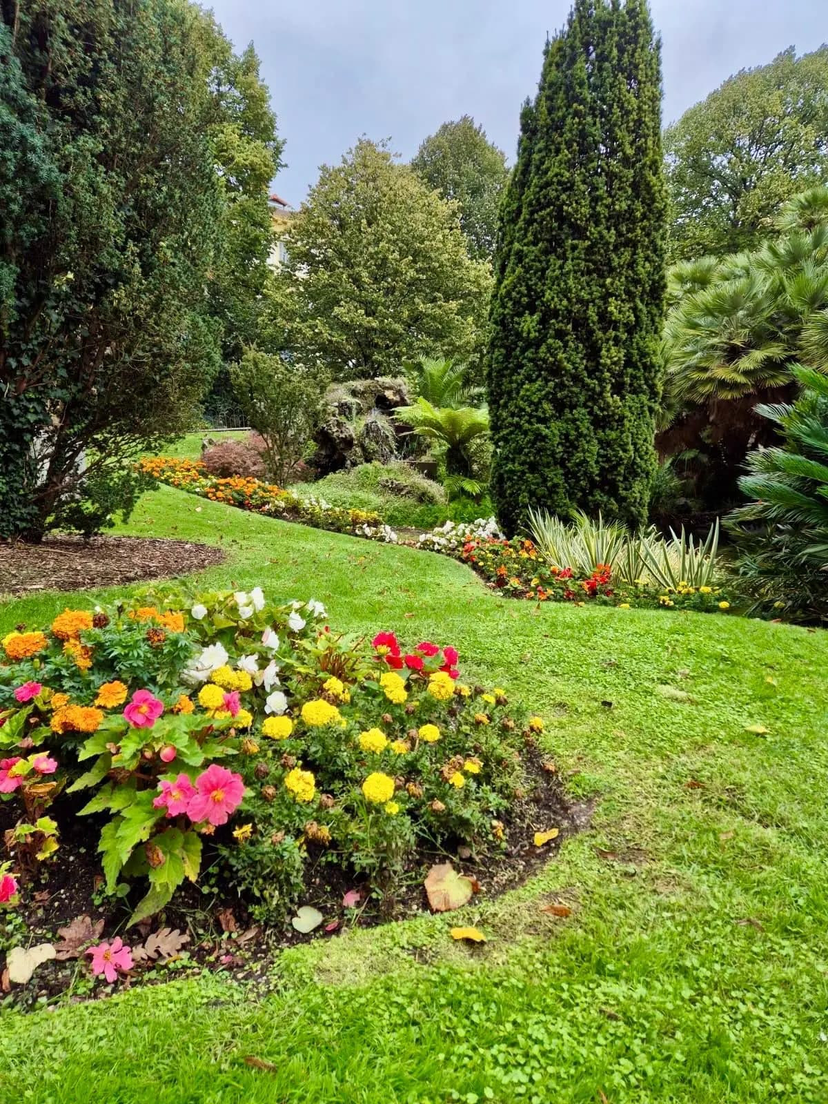 Jardí mediterrani